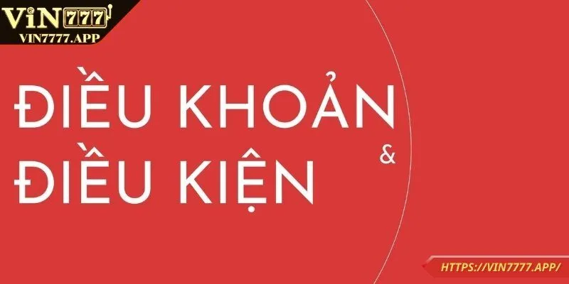 Điều khoản điều kiện VIN777 được hiểu như thế nào?