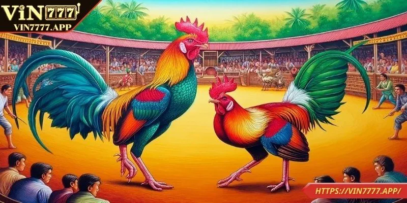 Chọn nhà cái uy tín khi tham gia đá gà trực tiếp