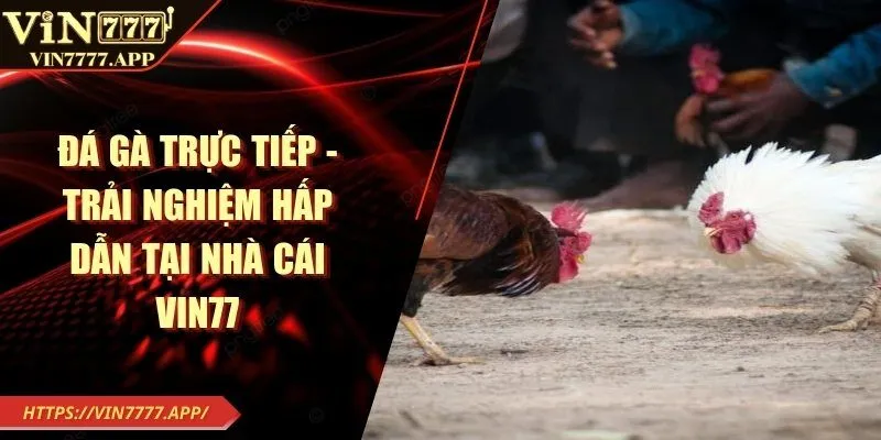 ảnh dại diện